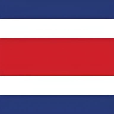 bandera seleccion