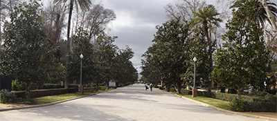 Avenida de Rodriguez de Casso
