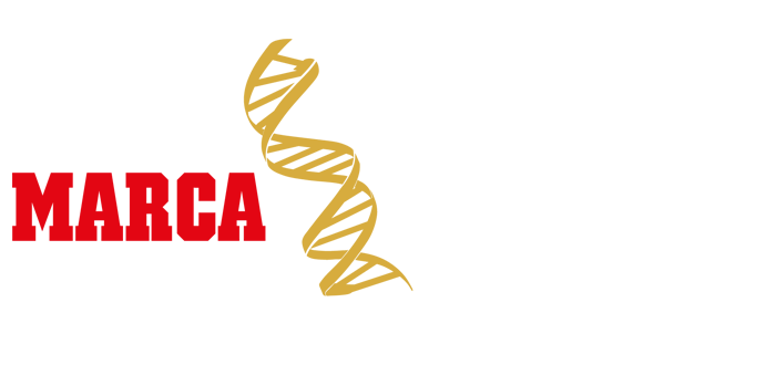 Logo premios